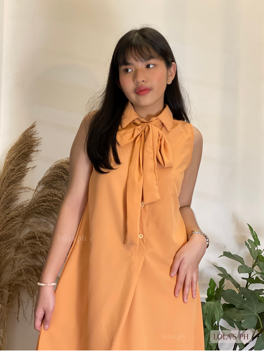 Aleisha Dress (Salmon Orange)