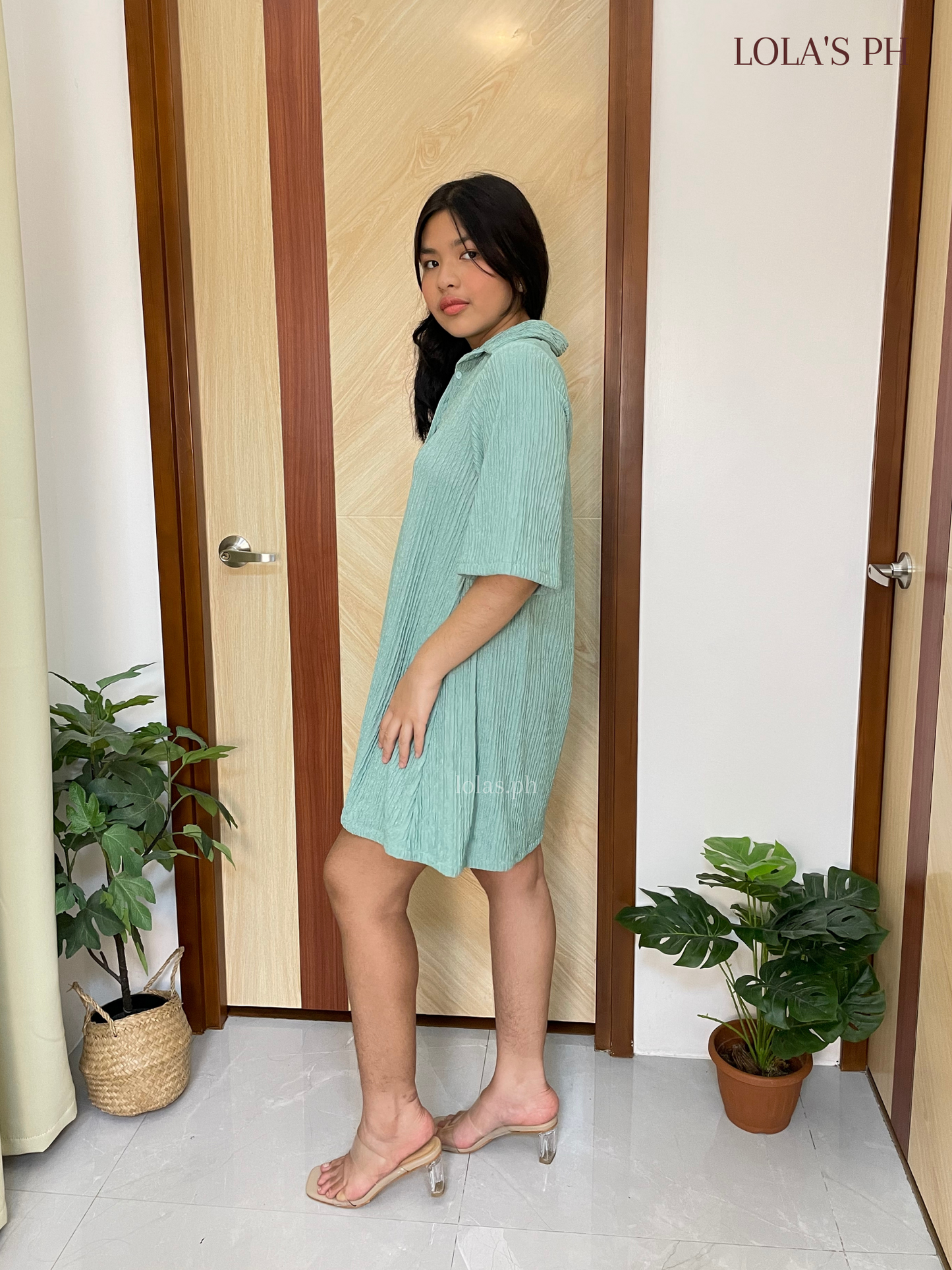 Hanni Dress (Mint)