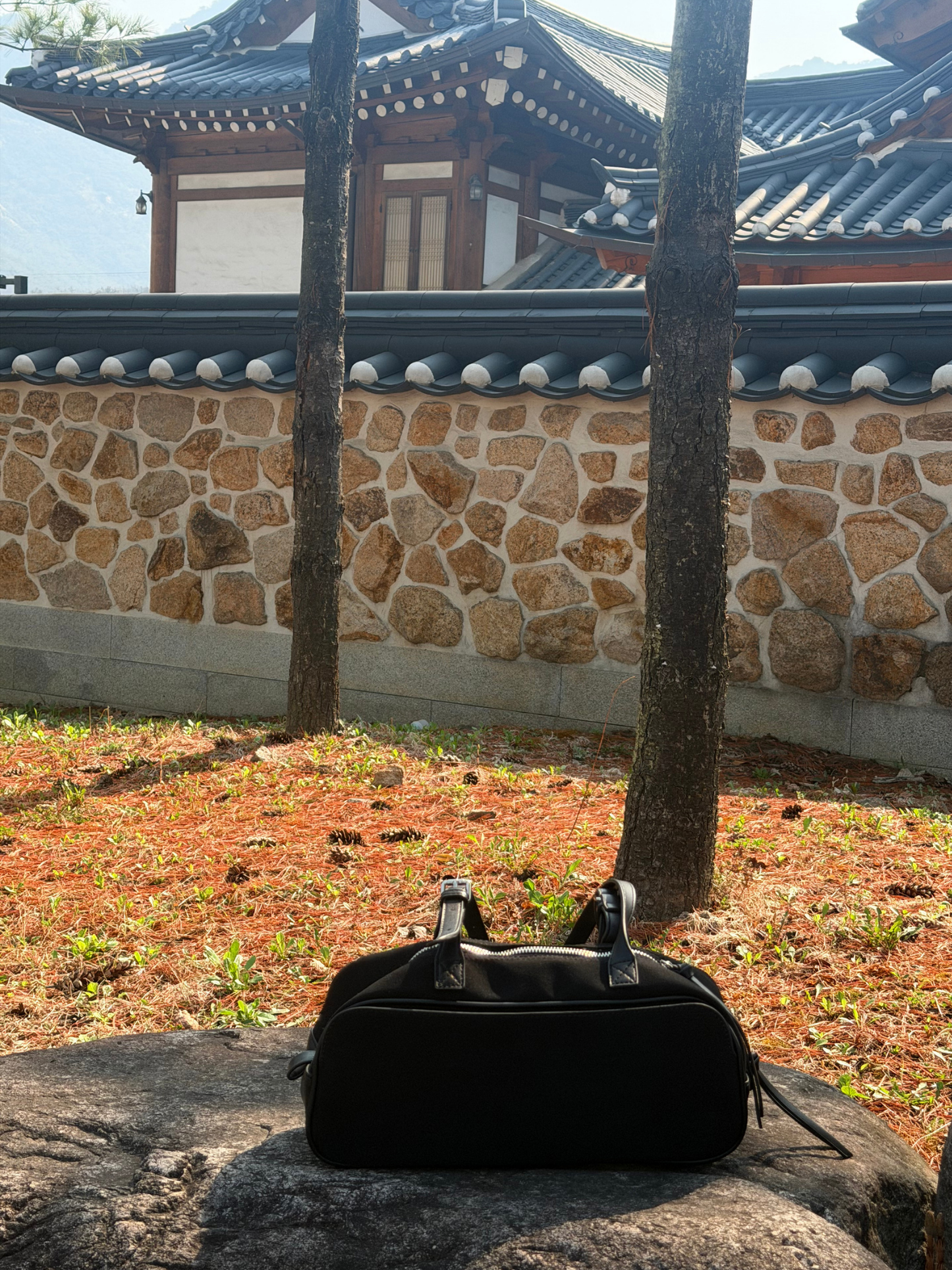 Sadie Bag (Black)