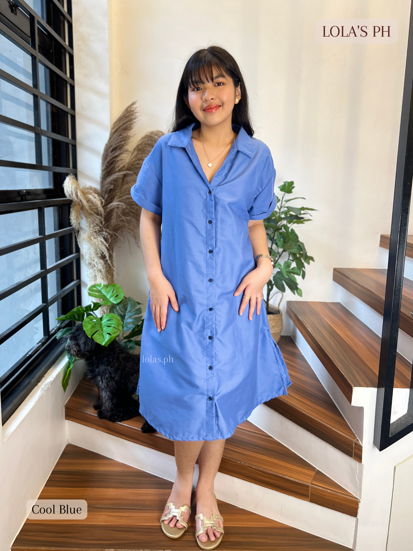 Kelsey Polo Dress (Cool Blue)