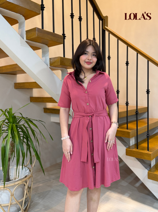 Alexa Polo Dress (Raspberry)