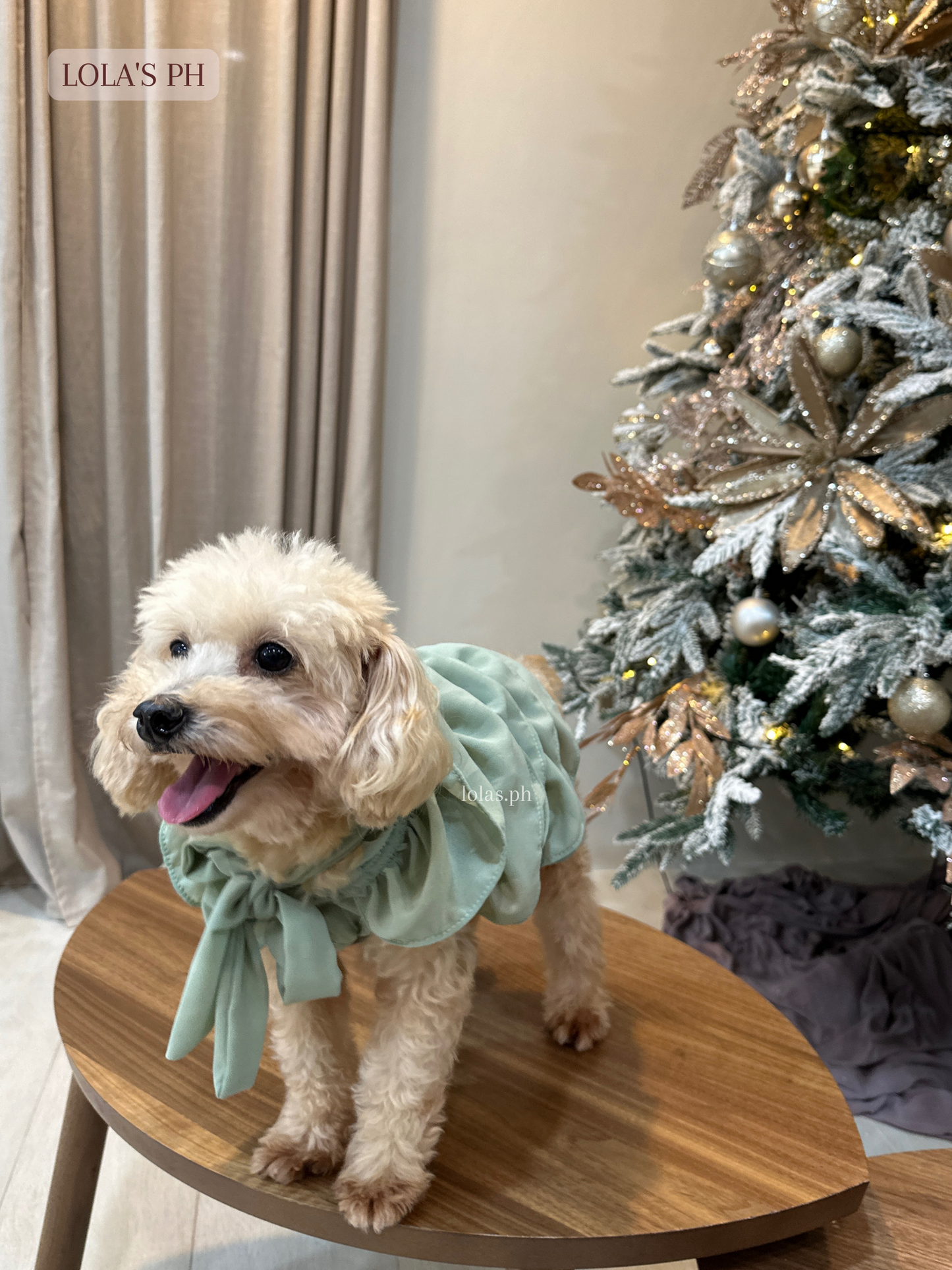 Dog Dress (Mint)