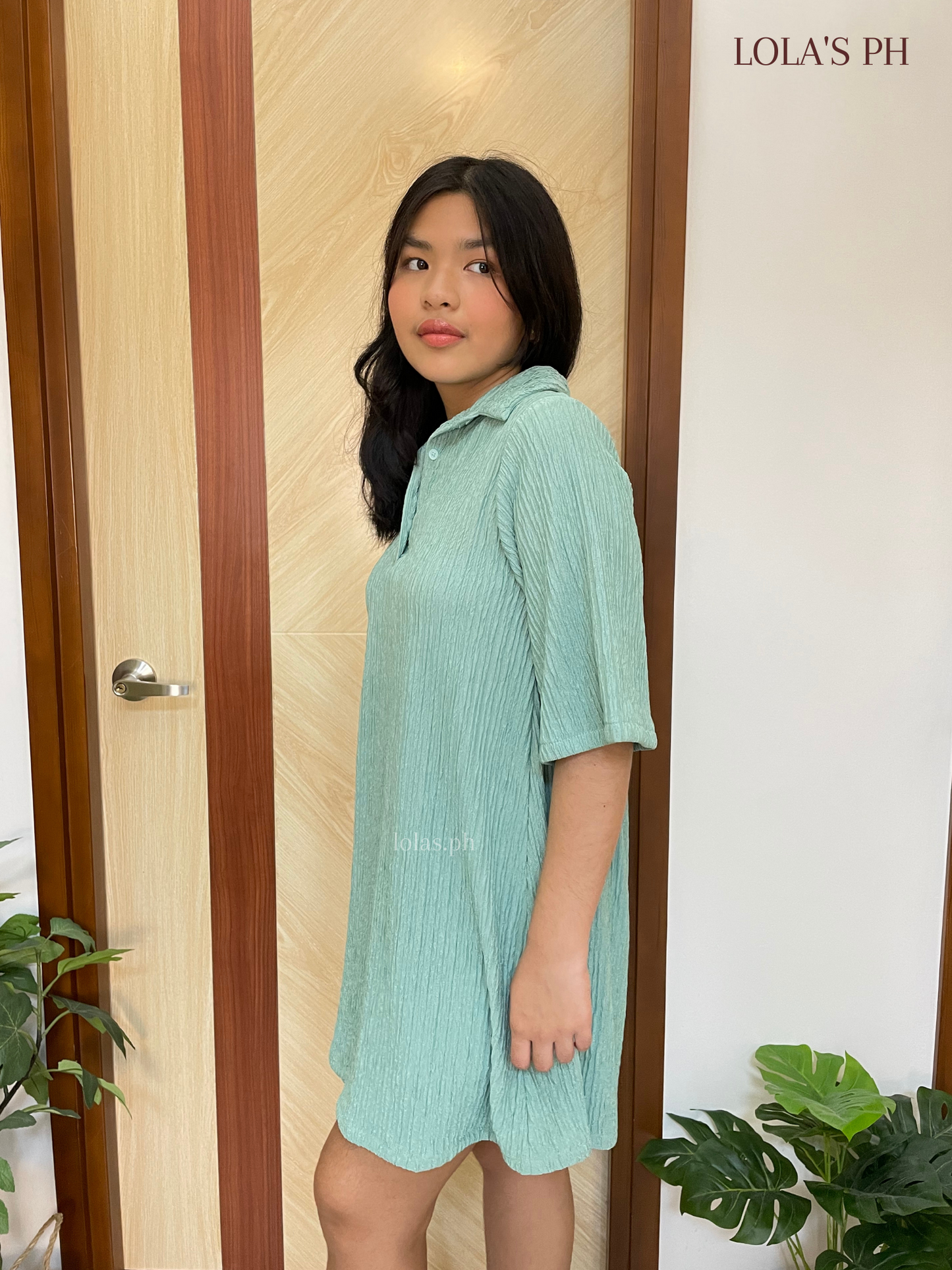 Hanni Dress (Mint)