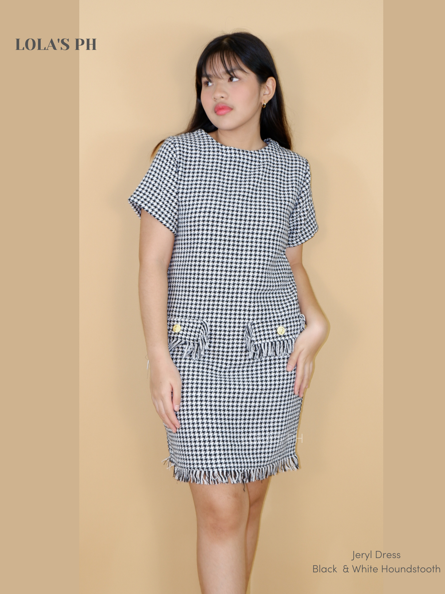 Jeryl Tweed Dress (Black & White Houndstooth)