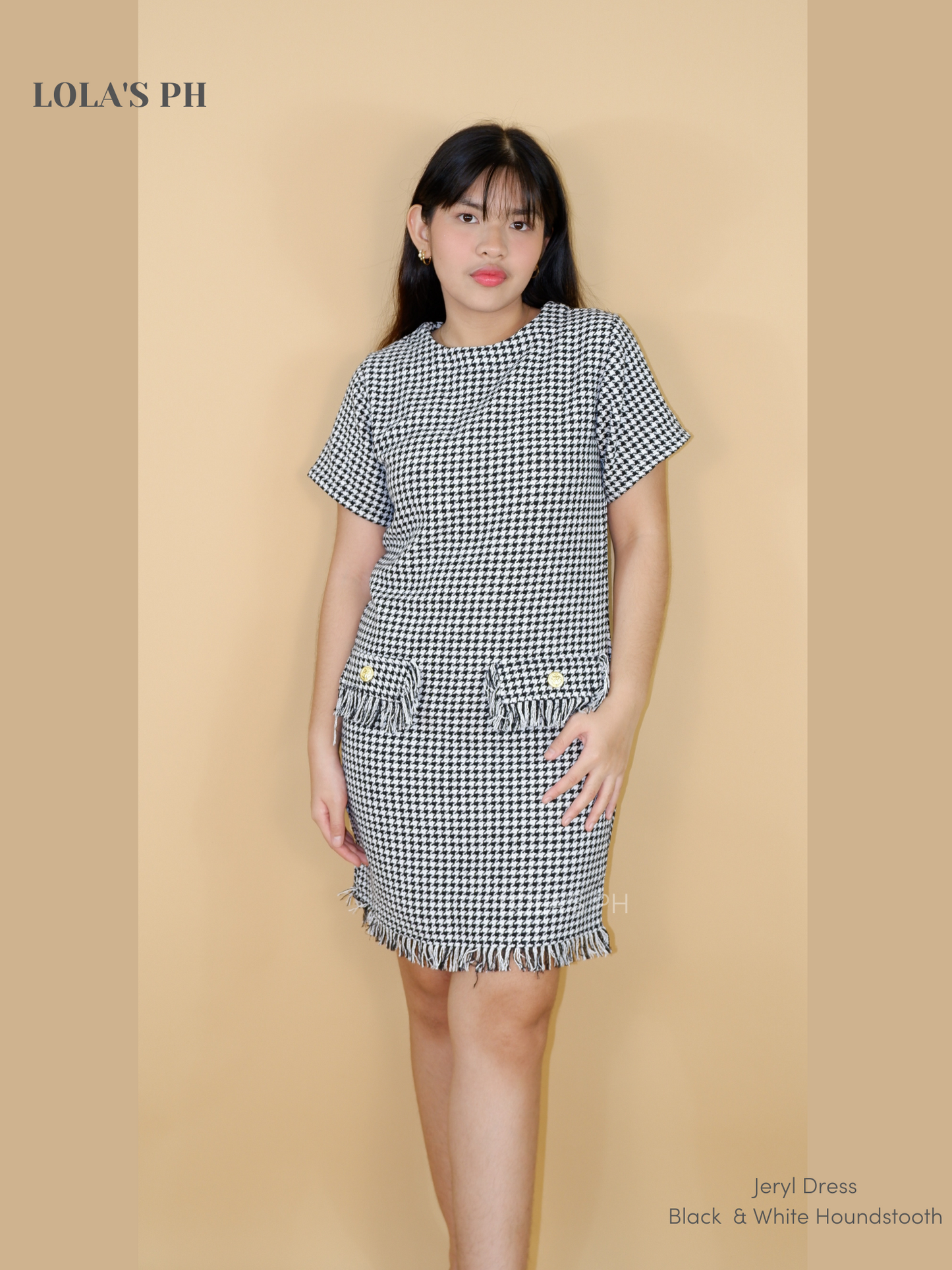 Jeryl Tweed Dress (Black & White Houndstooth)